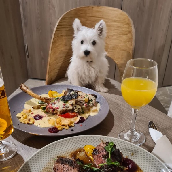 @westie.maja at #welltonriversidespahotel